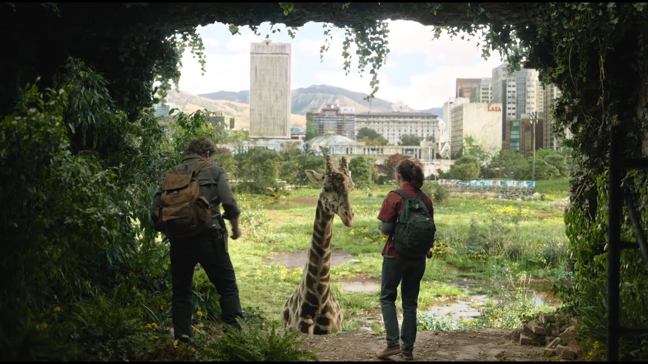 The Last of Us